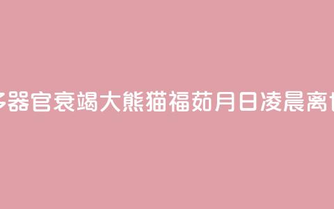 多器官衰竭 大熊猫“福茹”8月16日凌晨离世 第1张