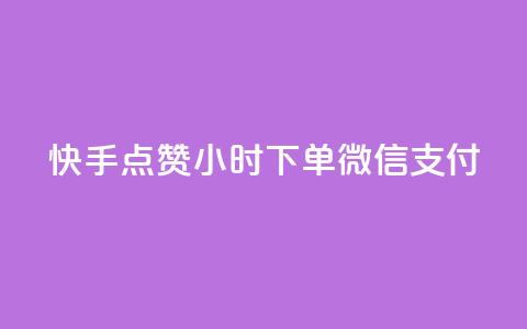 快手点赞24小时下单微信支付 - 24小时内微信支付快手点赞，安全可靠。 第1张