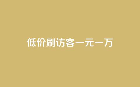 低价刷访客一元一万 - 高效提升网站流量的低价方式，每万访客仅需一元~ 第1张