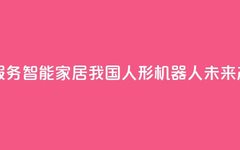 真实家庭服务	、智能家居……我国人形机器人未来产业正成长 第1张