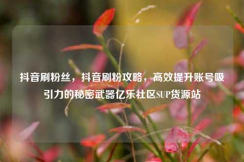 抖音刷粉丝	，抖音刷粉攻略，高效提升账号吸引力的秘密武器亿乐社区SUP货源站  第1张