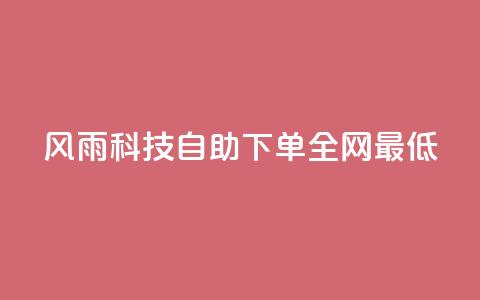 风雨科技自助下单全网最低 - 风雨科技自助下单享受全网最低价格攻略~  第1张