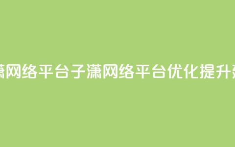 子潇网络平台(子潇网络平台优化提升建议)  第1张