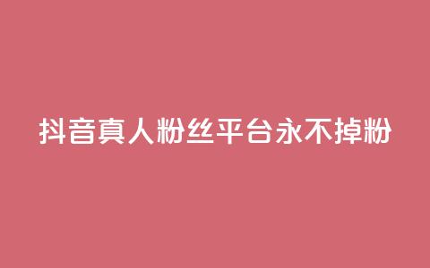 抖音真人粉丝平台 永不掉粉 - 抖音真人粉丝长期稳定平台！  第1张