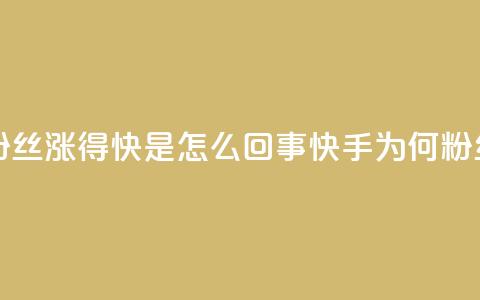 快手粉丝涨得快是怎么回事(快手为何粉丝激增)  第1张
