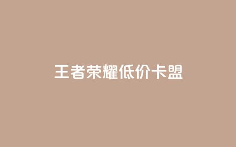 王者荣耀低价卡盟,卡盟dy业务 - 拼多多助力网站新用户 拼多多上可以讲价吗  第1张