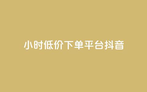 24小时低价下单平台抖音 - 快手业务平台子萧网  第1张