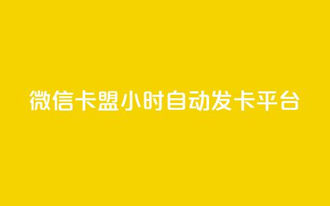 微信卡盟24小时自动发卡平台 - 微信卡盟：稳定发卡平台  24小时自动发卡，快速、便捷的购卡体验。 第1张