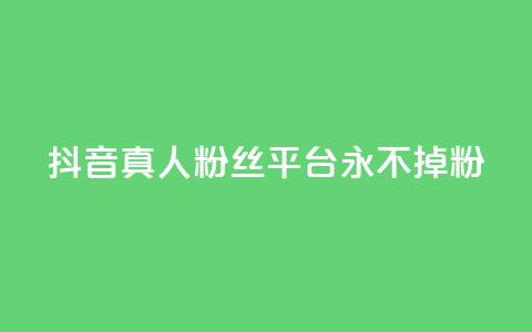 抖音真人粉丝平台 永不掉粉 - 抖音真人粉丝长期稳定平台！  第1张
