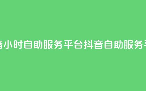 抖音24小时自助服务平台 —— 抖音自助服务平台24h  第1张
