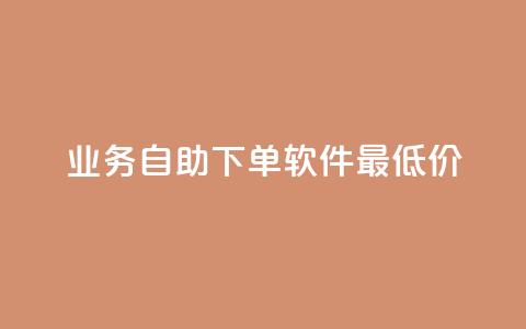 ks业务自助下单软件最低价,低价qq空间访客 - 低价卡盟平台 发卡网自动发卡平台  第1张