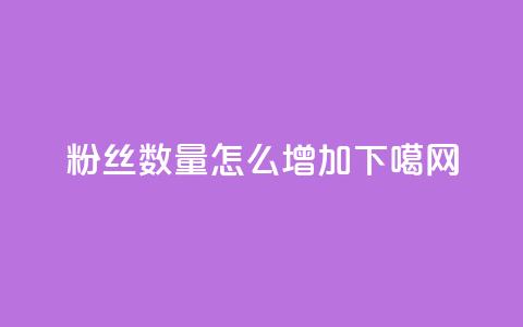 粉丝数量怎么增加  第1张