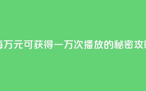 每万元可获得一万次播放的秘密攻略  第1张
