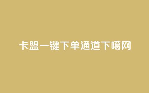 卡盟一键下单通道  第1张