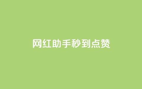网红助手秒到点赞,抖音快手加热平台 - dy0.01刷1000 快手刷热门软件  第1张