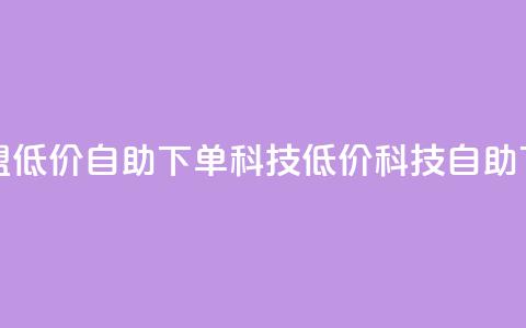 卡盟低价自助下单科技(低价科技自助下单)  第1张