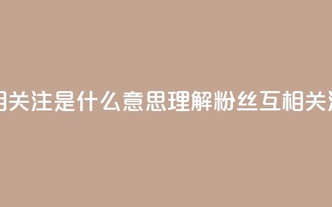 粉丝互相关注是什么意思(理解粉丝互相关注的含义)  第1张