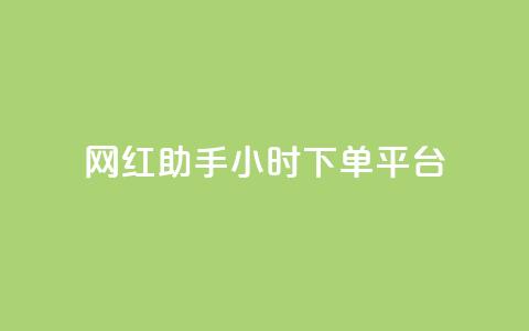 网红助手24小时下单平台 - 全天24小时下单，轻松掌握的网红助手平台!  第1张