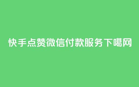 快手点赞微信付款服务  第1张