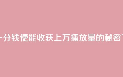快手一分钱便能收获上万播放量的秘密  第1张