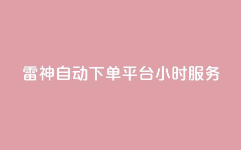 KS雷神自动下单平台24小时服务  第1张