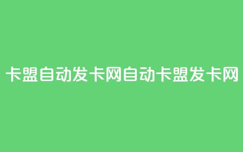 卡盟自动发卡网(自动卡盟发卡网)  第1张