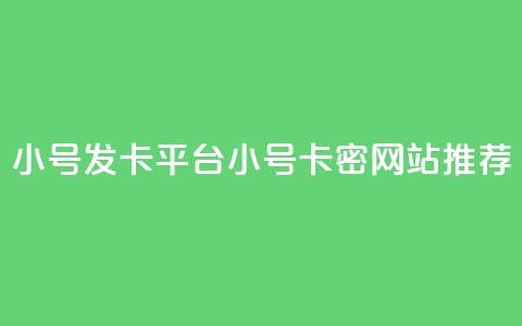 ks小号发卡平台(KS小号卡密网站推荐)  第1张