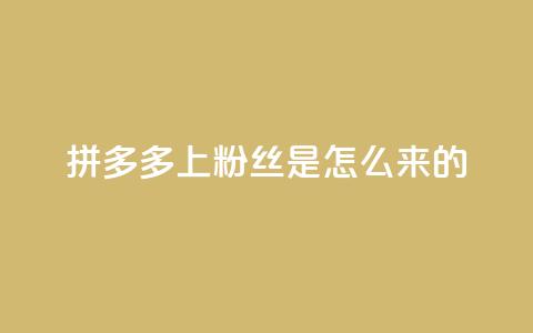 拼多多上粉丝是怎么来的,qq空间访客业务 - 拼多多转盘助力网站 拼多多怎么买人助力  第1张