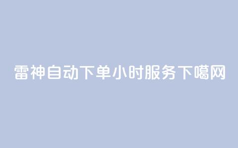 KS雷神自动下单24小时服务  第1张
