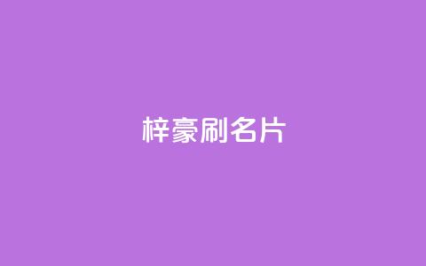 梓豪刷名片,刷黑钻卡盟 - 拼多多卡盟自助下单服务 pdd砍一刀  第1张
