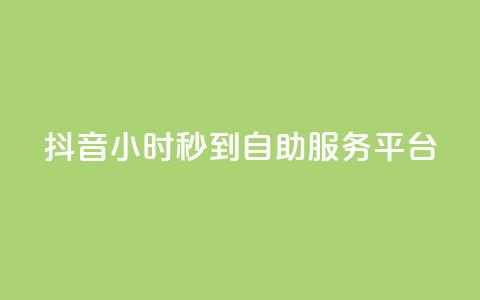 抖音24小时秒到自助服务平台,天创卡盟 - 拼多多业务关注下单平台 拼多多助力怎么这么困难的  第1张