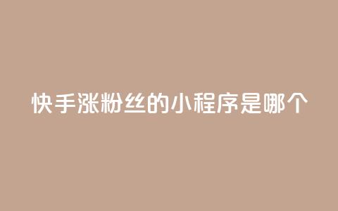 快手涨粉丝的小程序是哪个,彩虹云商城怎么自动补充卡密 - ks一键取赞下载 低价购买QQ会员的平台  第1张