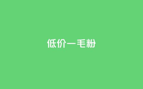 低价Ks一毛1000粉 - 超值Ks优惠 1000粉仅需一毛~  第1张