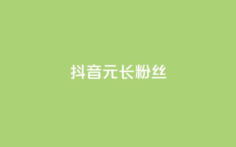 抖音1元长1000粉丝 - 1元在抖音能获得1000个粉丝靠谱吗？~  第1张