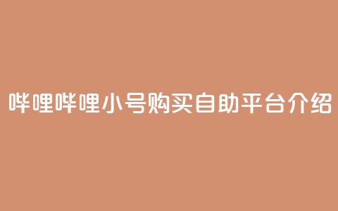 哔哩哔哩小号购买自助平台介绍  第1张