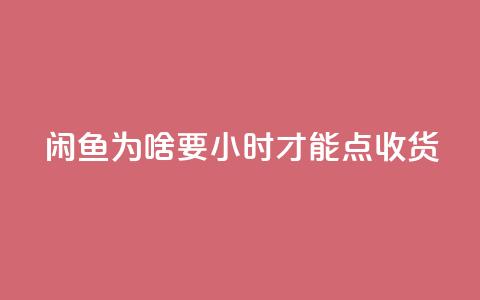 闲鱼为啥要24小时才能点收货,ks24小时免费下单平台 - ks24小时自助业务 冰点卡盟  第1张