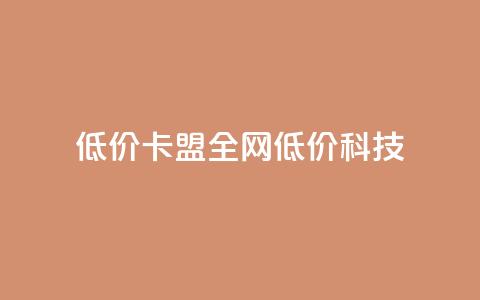 低价卡盟全网低价科技,便宜充qq会员 - 拼多多电商 拼多多助力工具v3最新版  第1张