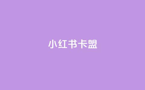 小红书卡盟 - 小红书卡盟：深入解析这一社交电商平台的隐藏商机~  第1张
