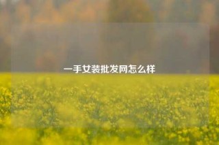 一手女装批发网怎么样