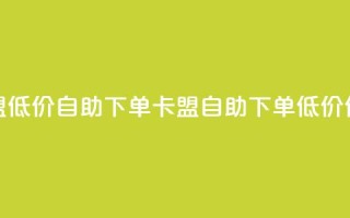 QQ卡盟低价自助下单(QQ卡盟自助下单低价优惠)