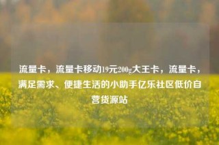 流量卡，流量卡移动19元200g大王卡，流量卡，满足需求、便捷生活的小助手亿乐社区低价自营货源站