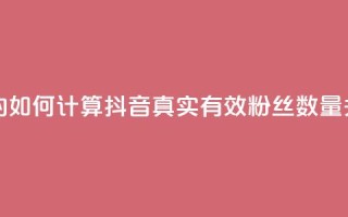 抖音有效粉丝是怎么算的 - 如何计算抖音真实有效粉丝数量，关键方法解析  SEO编写~