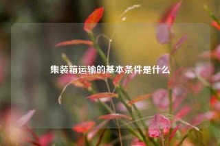 集装箱运输的基本条件是什么