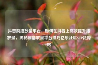 抖音刷播放量平台，如何在抖音上高效提升播放量，揭秘刷播放量平台技巧亿乐社区SUP货源站