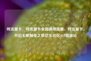 纯流量卡，纯流量卡全国通用流量，纯流量卡，开启无限畅享之旅亿乐社区SUP货源站