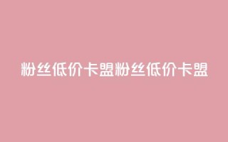 dy粉丝低价卡盟(dy粉丝低价卡盟 -- 优惠dy粉丝卡盟)