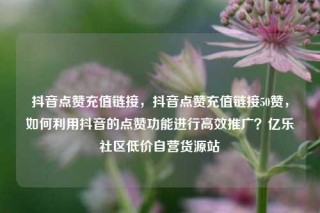 抖音点赞充值链接，抖音点赞充值链接50赞，如何利用抖音的点赞功能进行高效推广？亿乐社区低价自营货源站