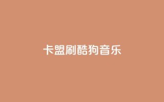 卡盟刷酷狗音乐vip