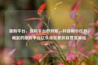 涨粉平台，涨粉平台秒到账，抖音和小红书，崛起的涨粉平台亿乐社区低价自营货源站