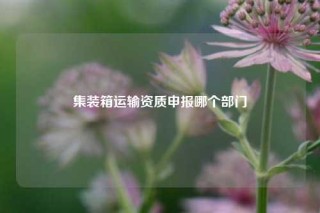 集装箱运输资质申报哪个部门